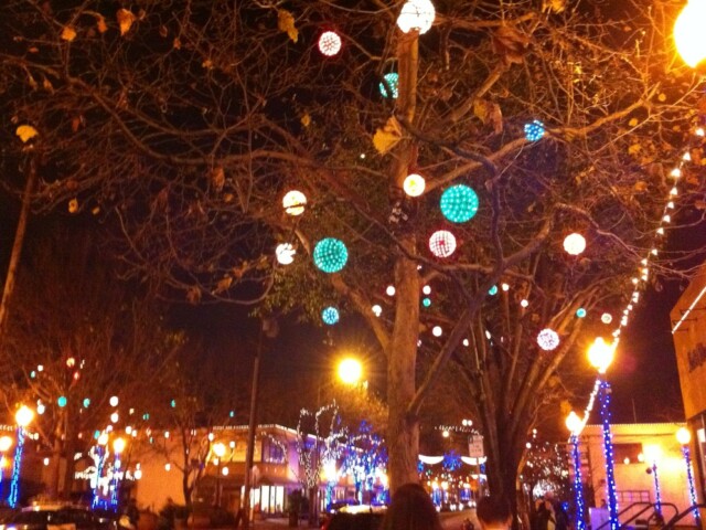 Shopping in Berkeley! Fun tree balls.