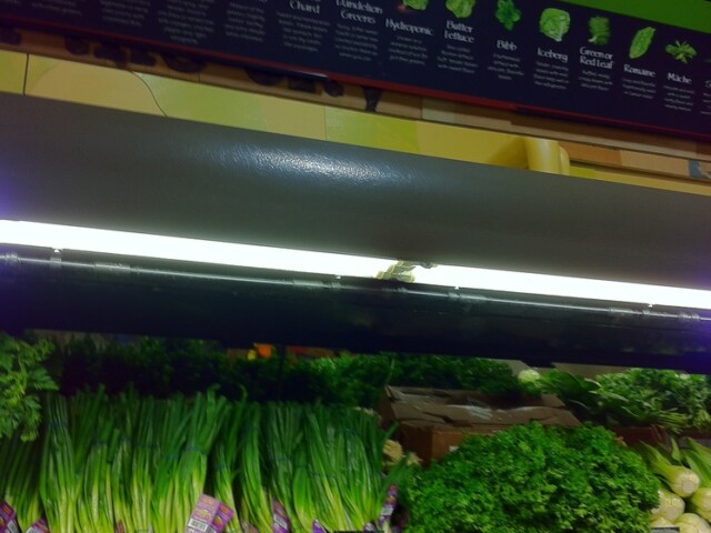 Nice graphic design of veggies at whole food