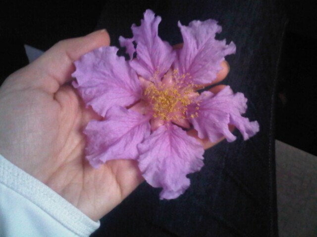 Flower from the Wat where Purin was the abbot