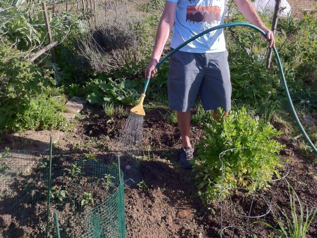 Planting party!