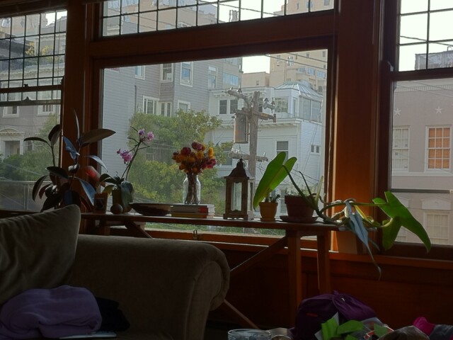 Plants look pretty in my window right now