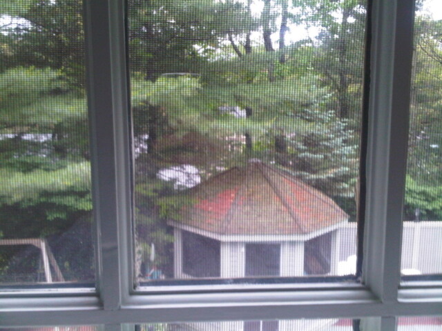 I love my window at 5 leeland