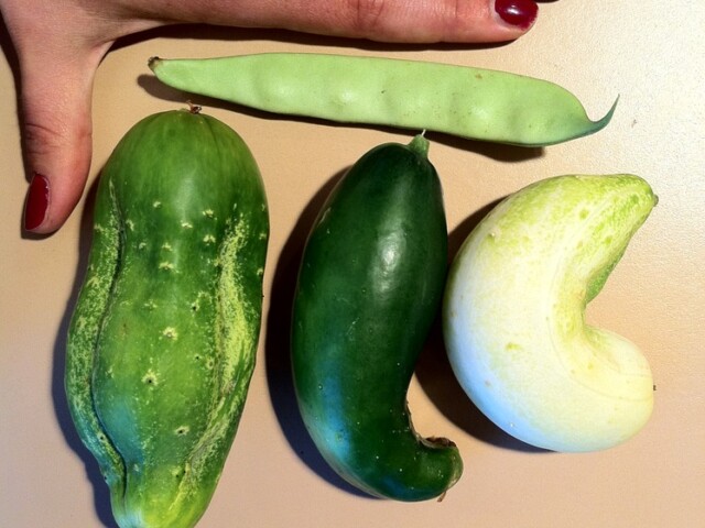 My harvest is very limited so far this year. : /