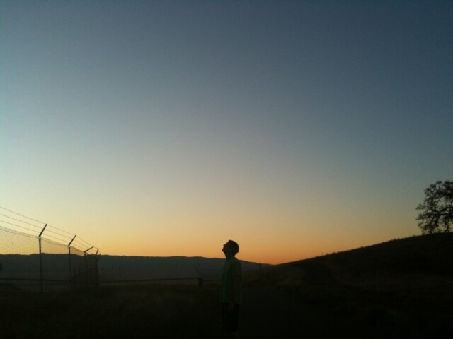 Walking the dish