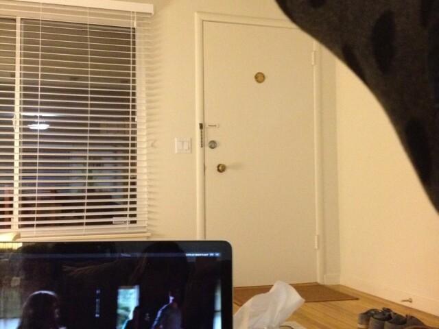 Forgot to take my pic earlier while I was on Stephens Bach conf call