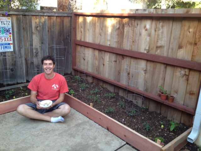 Eating some cereal with the new tomato setup