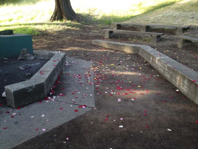 Post wedding petals