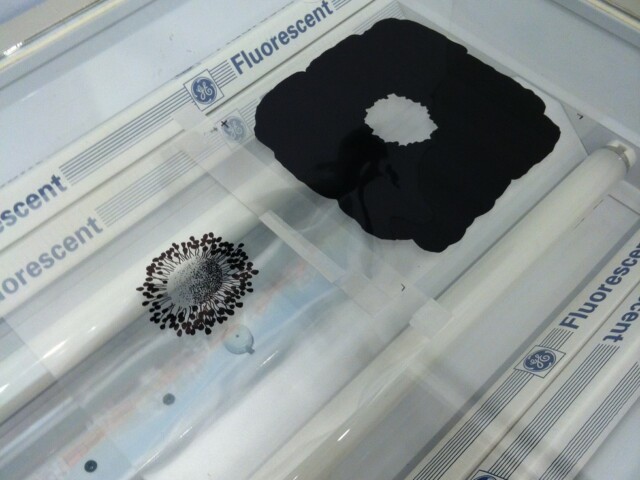 Last nights’s 606. Ready to expose my next print.
