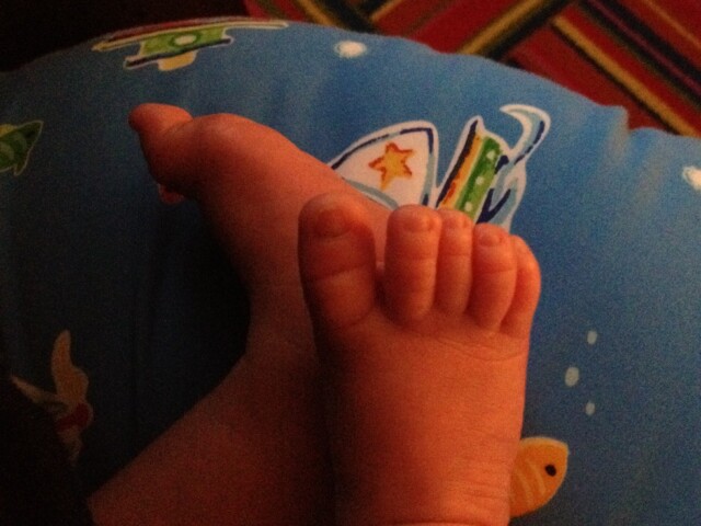 Feet in feeding position