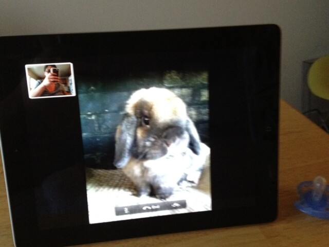FaceTime with elbo and janny and Desi on my new iPad!
