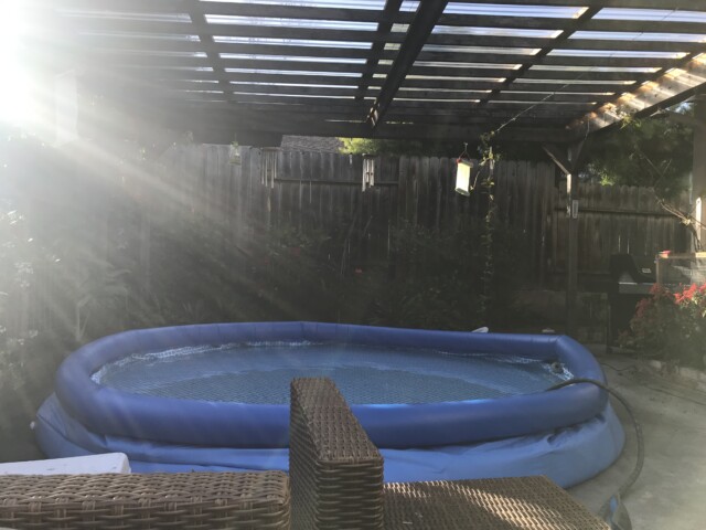Filling the pool doo would have loved