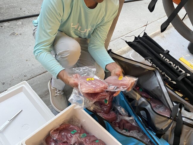 Home with so much fish